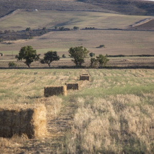 Azienda Agricola Biologica